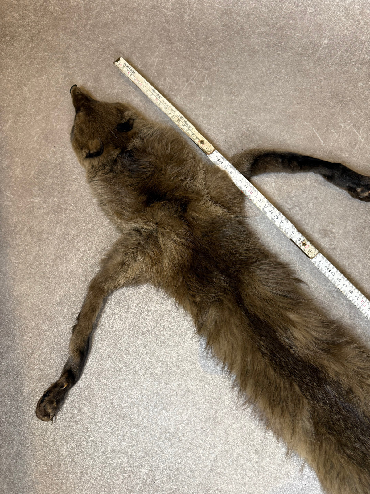 Vintage Fuchsschal Echtfell Fuchs Stola Pelzschal Mit Kopf Pfoten & Schweif Braun Real Fur Fox Scarf