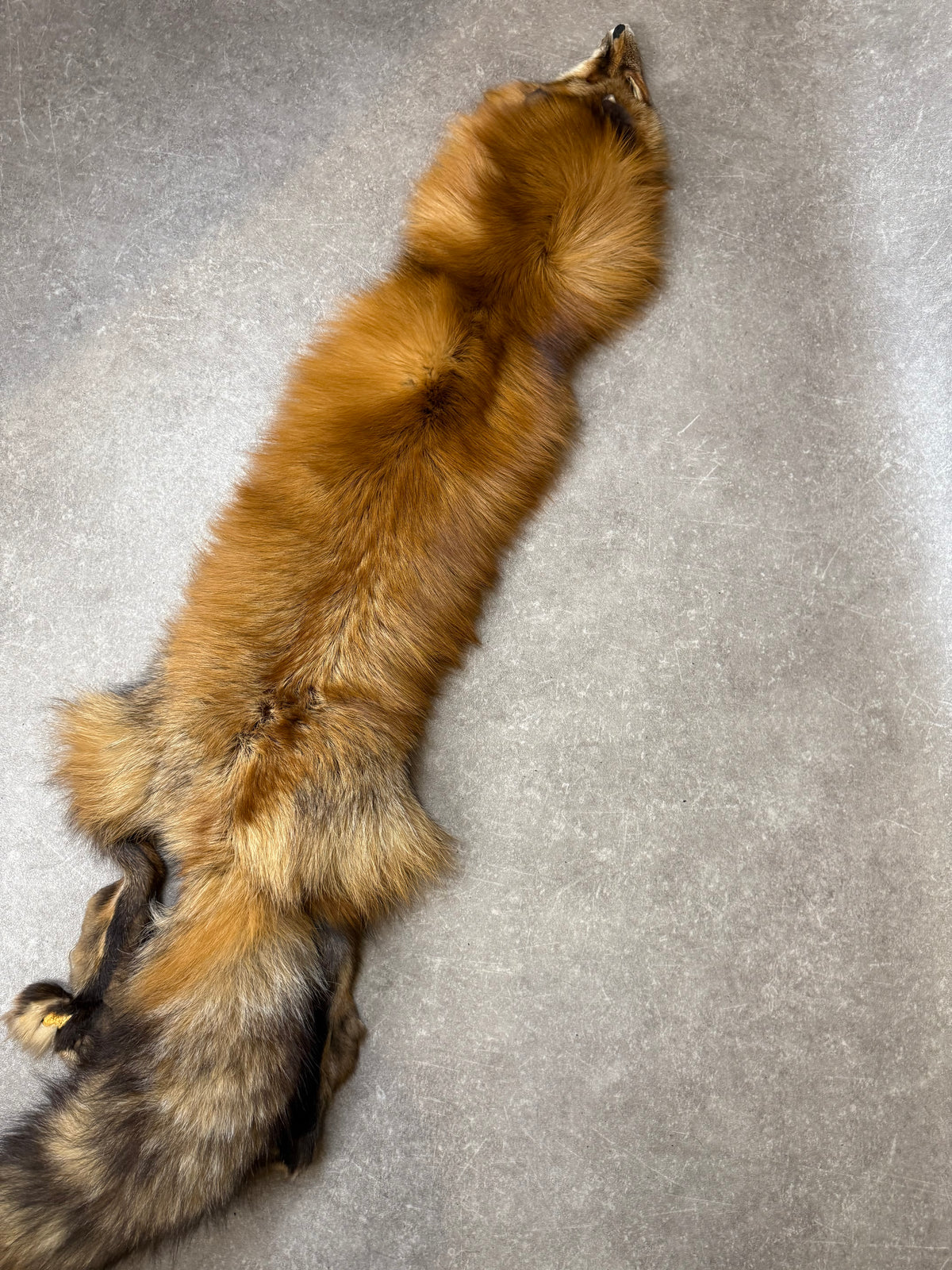 Vintage Rotfuchs Echtfell Fuchsschal Mit Kopf Pfoten & Schweif Rotfuchs Pelzschal Real Fur Fox Stole