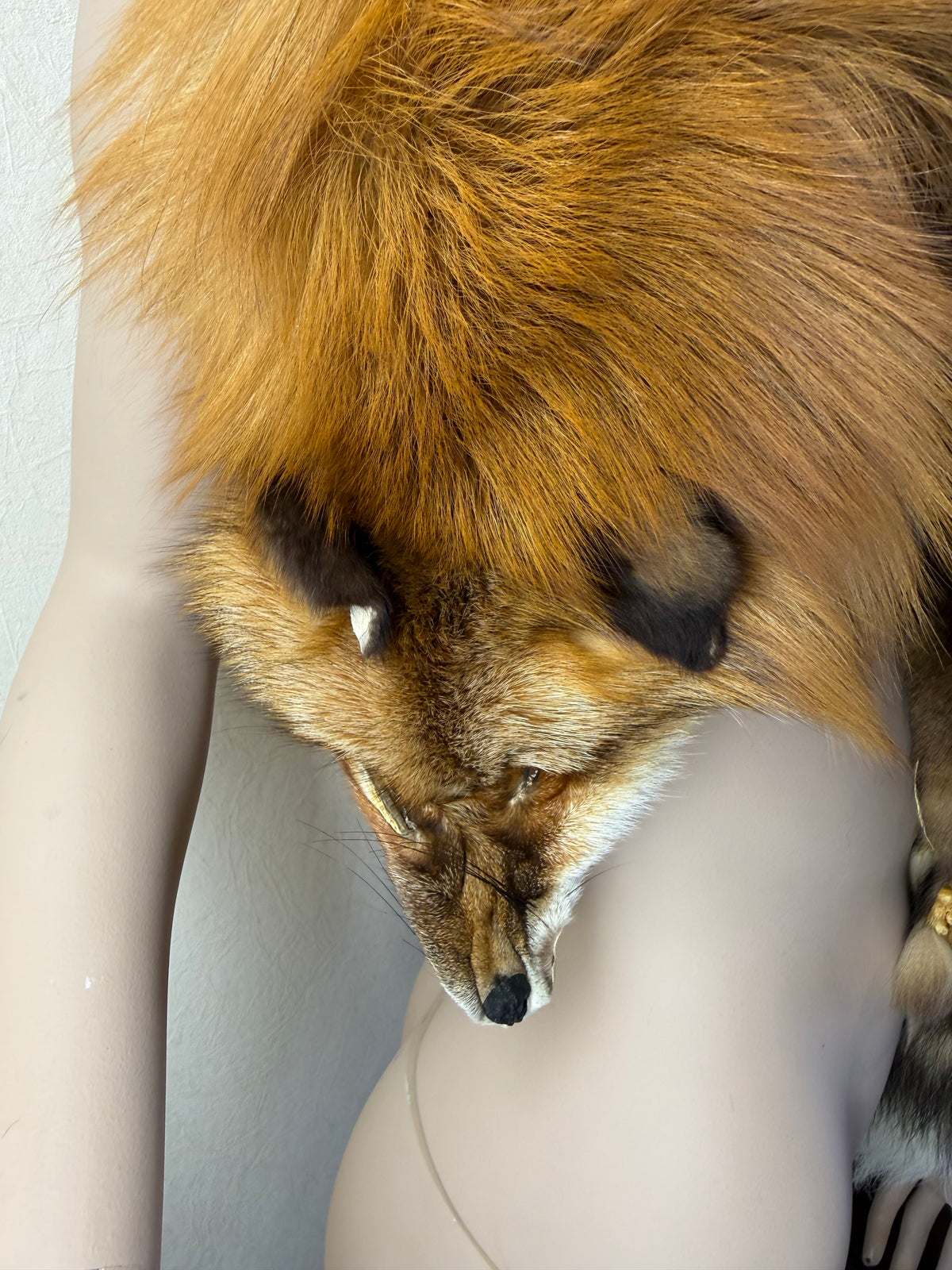 Vintage Rotfuchs Echtfell Fuchsschal Mit Kopf Pfoten & Schweif Rotfuchs Pelzschal Real Fur Fox Stole