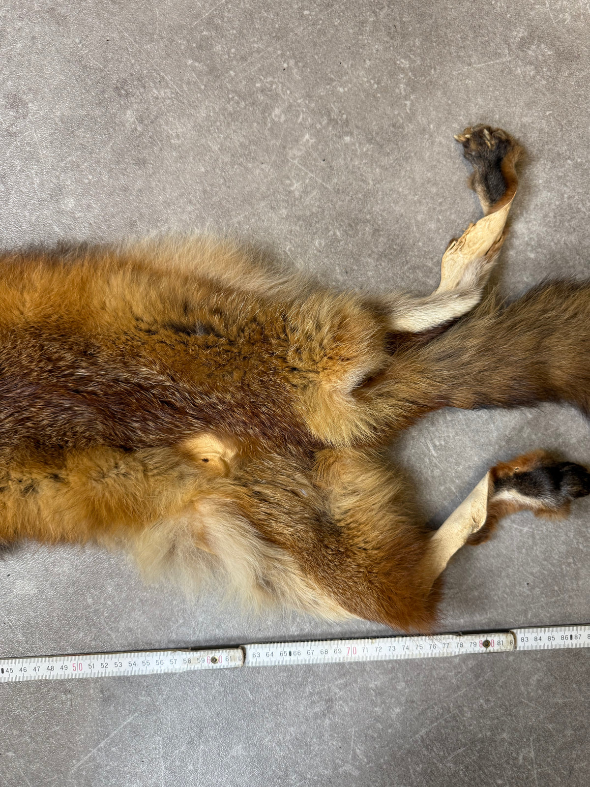 Antiker Rotfuchs Pelz Stola Ganzfuchs Echtfell Fuchsfell mit Kopf Pfoten & Schweif Vintage