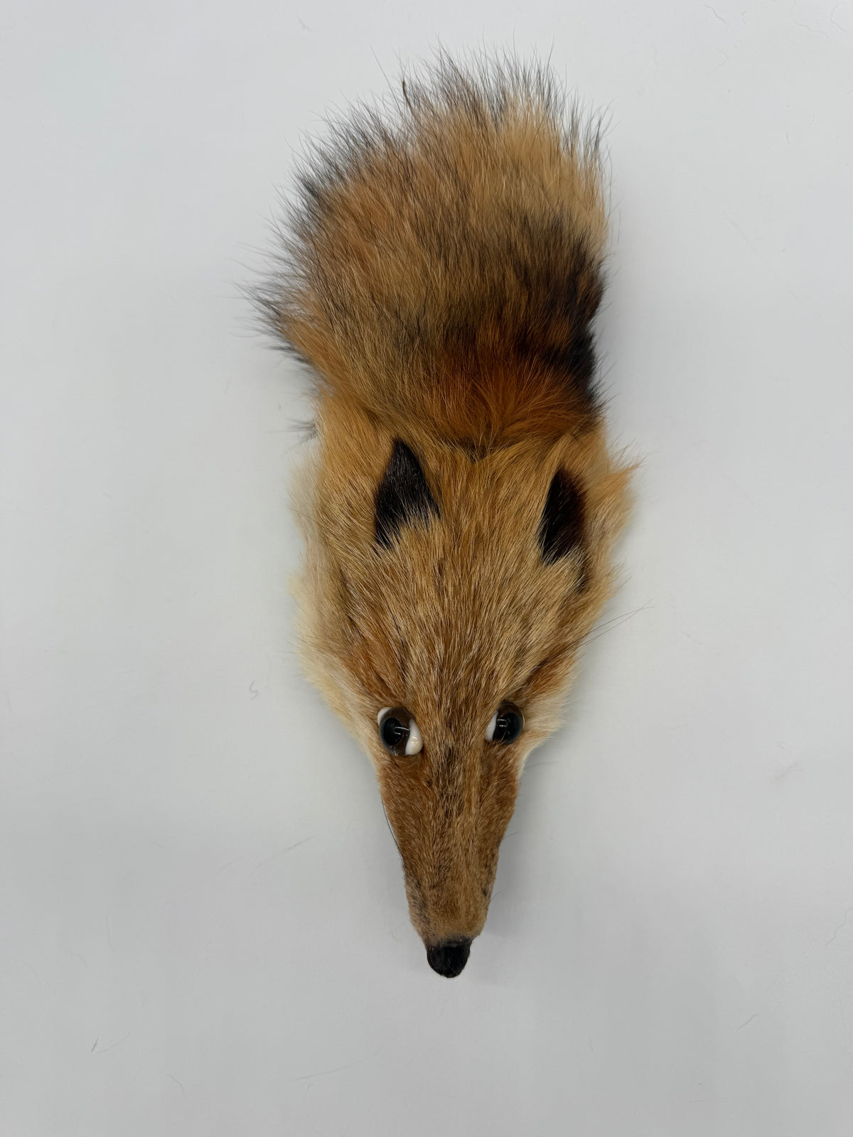 Vintage Rotfuchs Fuchskopf Echtpelz Pelzkragen Fuchsfell mit Glasaugen