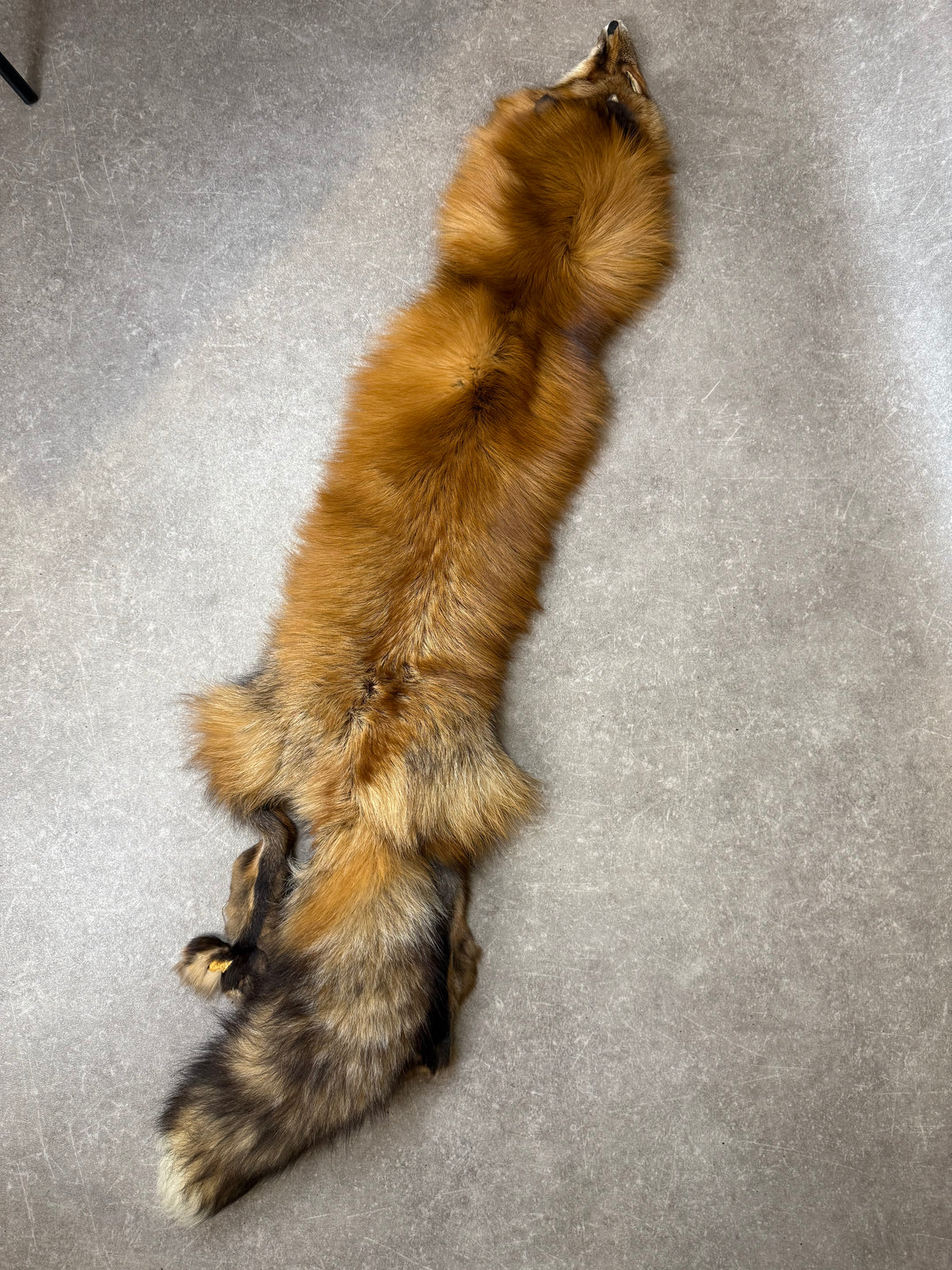 Vintage Rotfuchs Echtfell Fuchsschal Mit Kopf Pfoten & Schweif Rotfuchs Pelzschal Real Fur Fox Stole