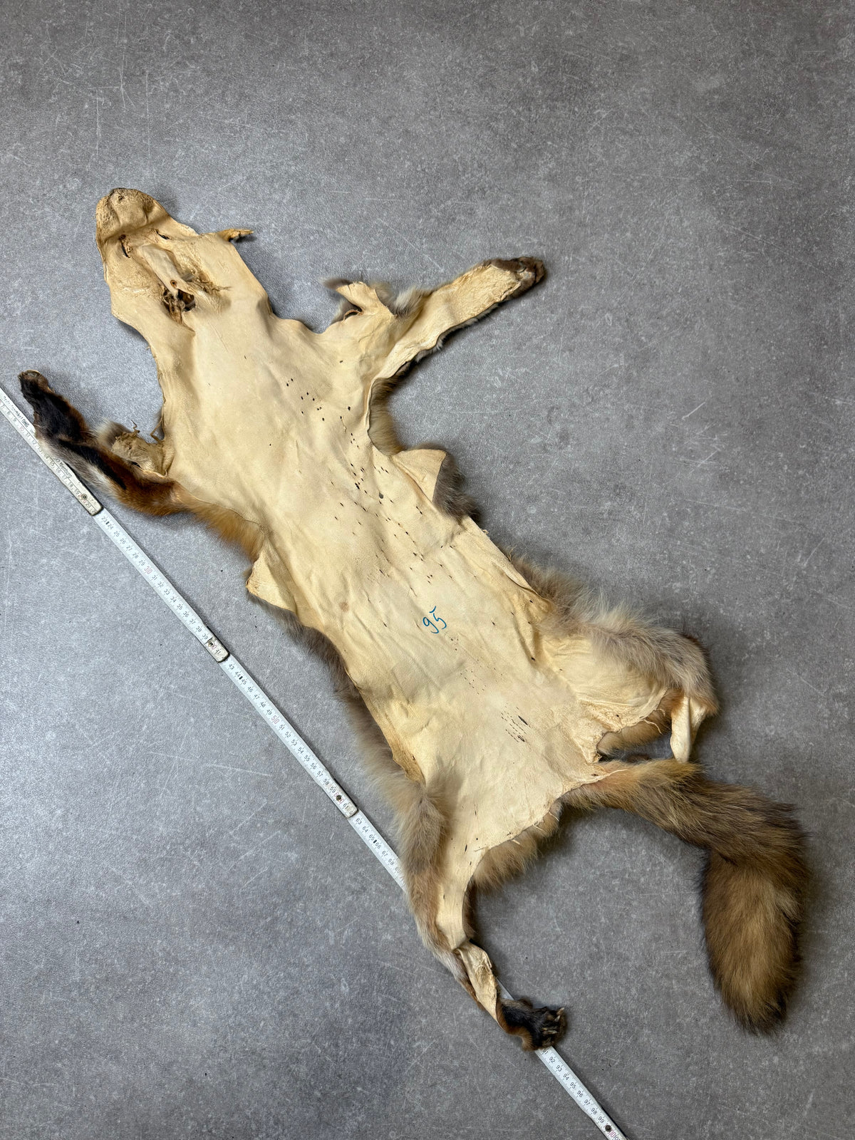 Antiker Rotfuchs Pelz Stola Ganzfuchs Echtfell Fuchsfell mit Kopf Pfoten & Schweif Vintage