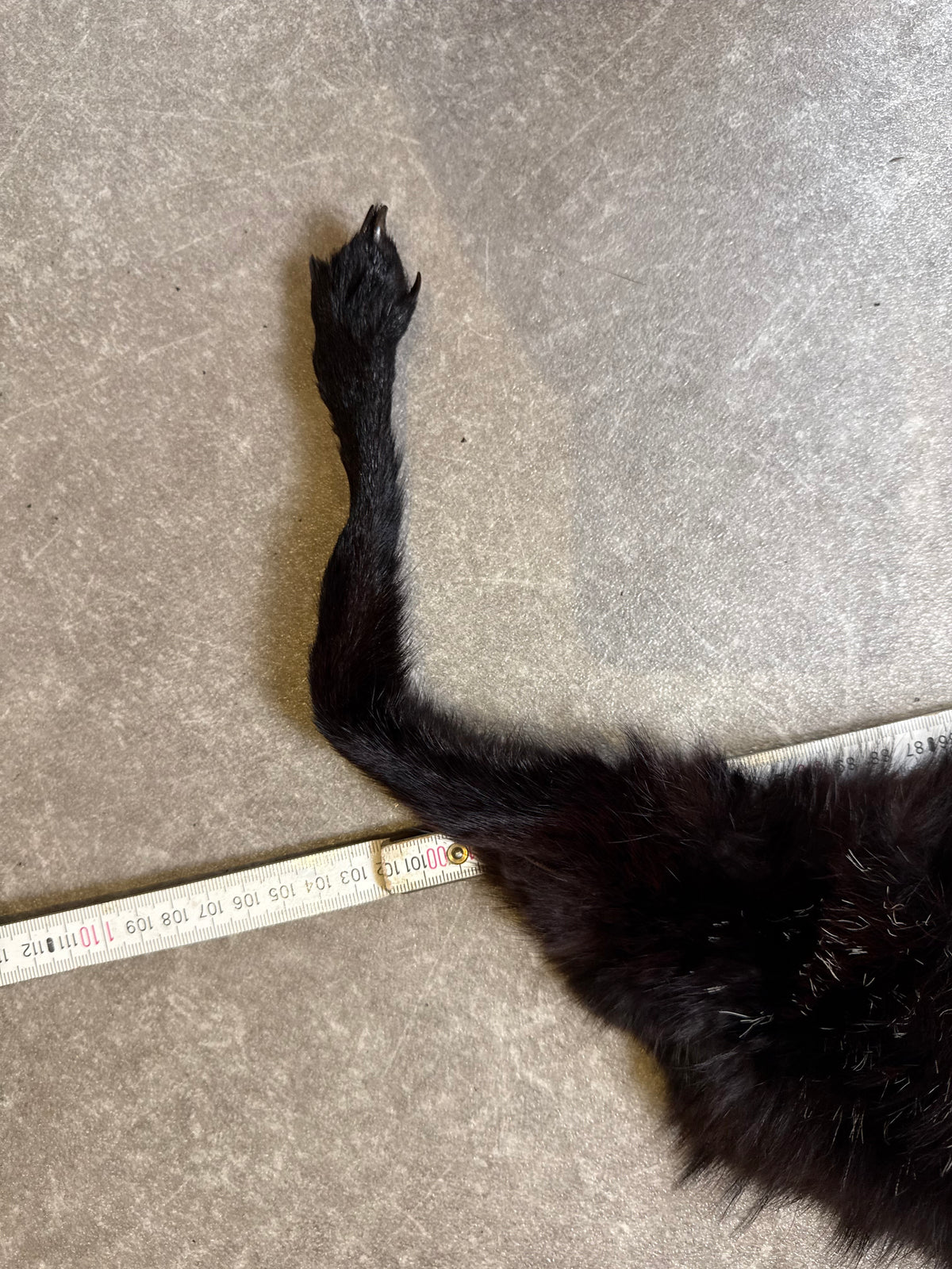 Vintage Silberfuchs Pelzstola Schwarz Echtfell Fuchs Fox Fur mit Pfoten ca. 110 cm