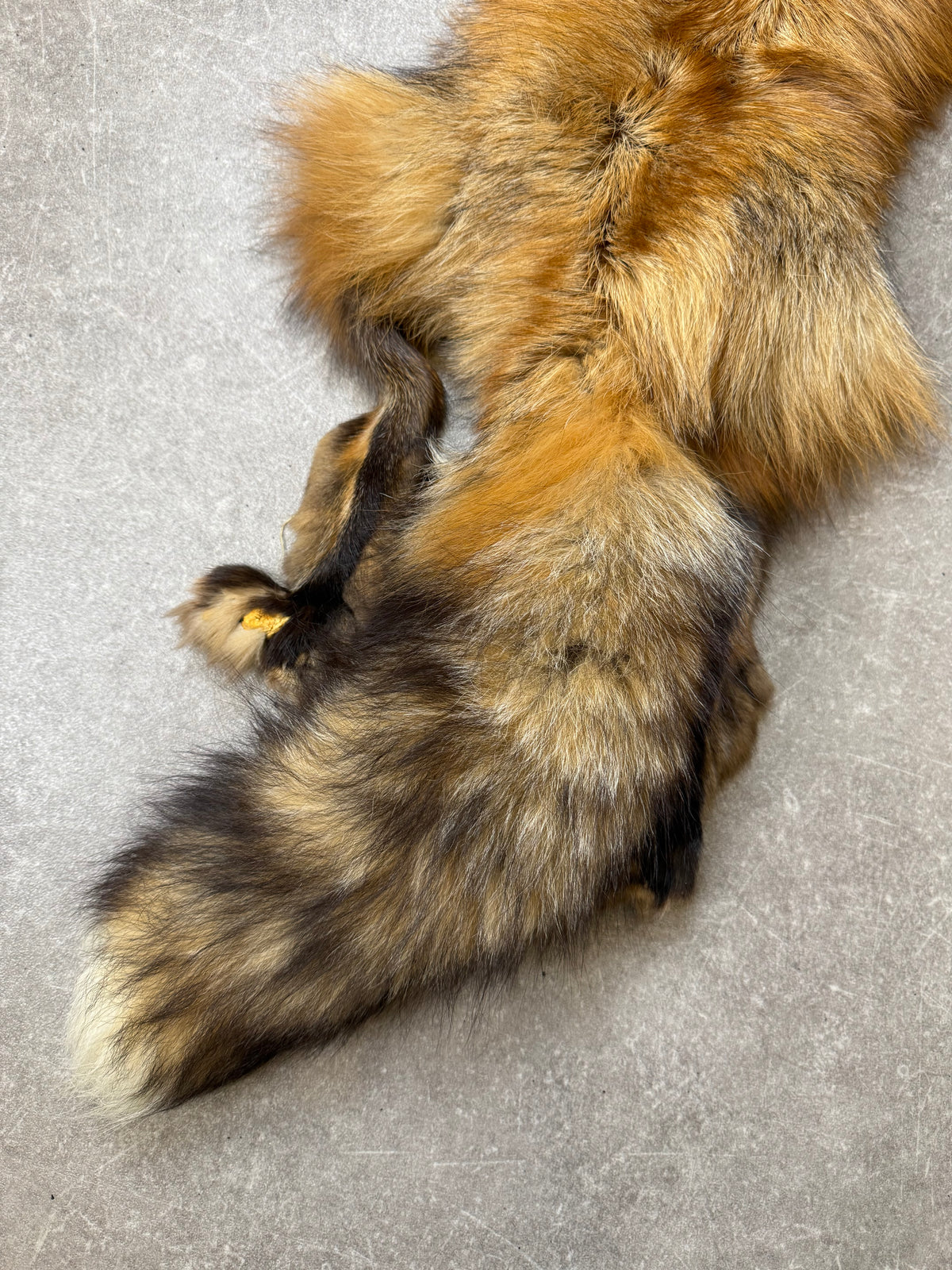 Vintage Rotfuchs Echtfell Fuchsschal Mit Kopf Pfoten & Schweif Rotfuchs Pelzschal Real Fur Fox Stole