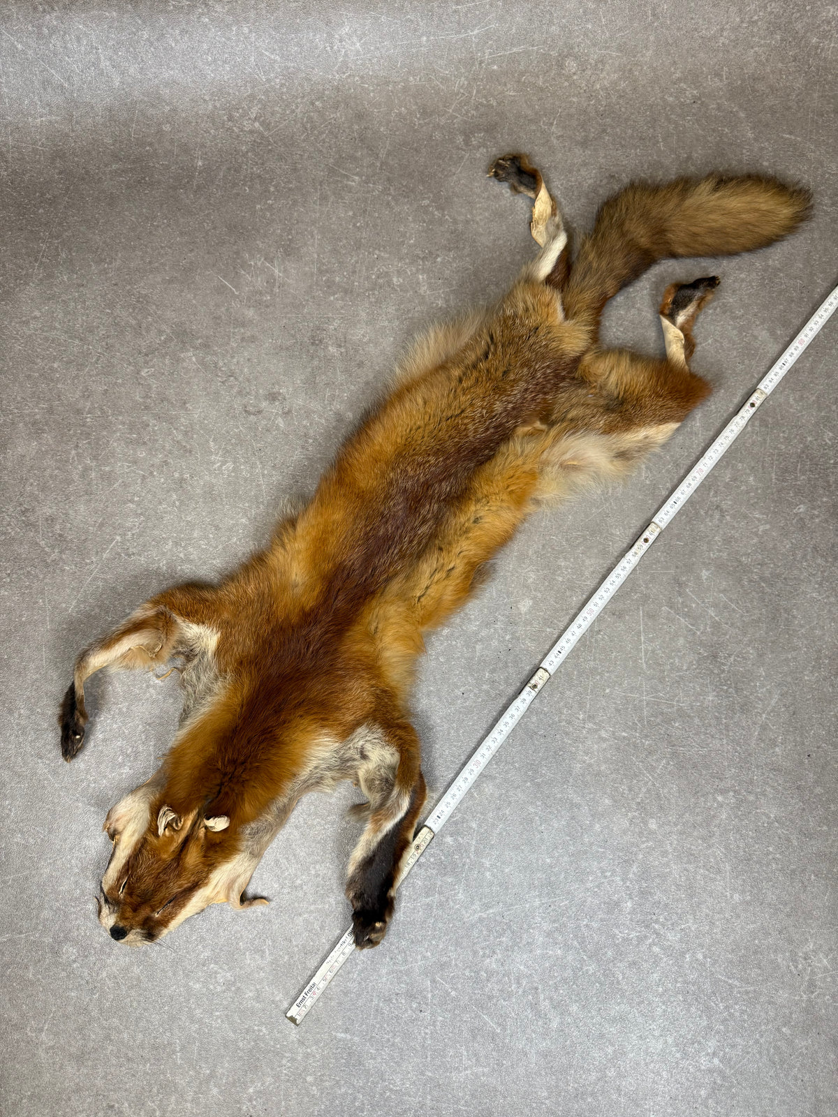 Antiker Rotfuchs Pelz Stola Ganzfuchs Echtfell Fuchsfell mit Kopf Pfoten & Schweif Vintage