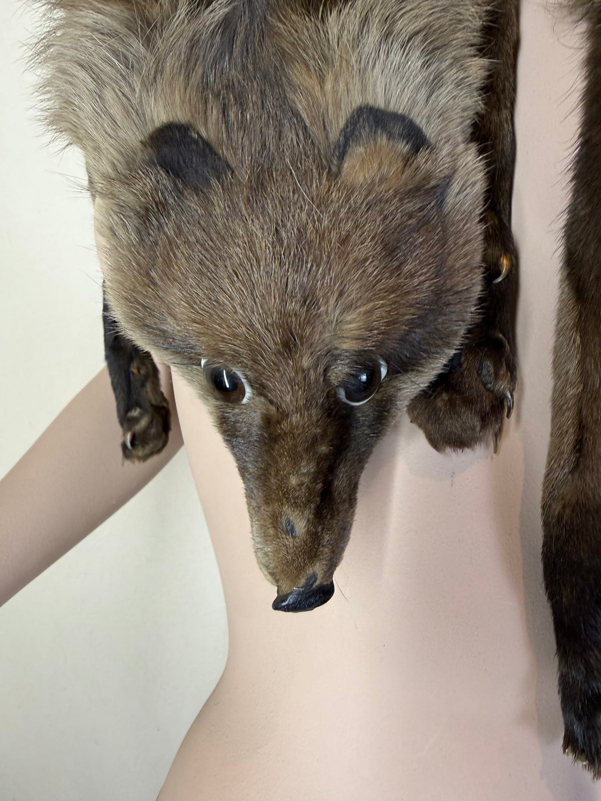 Vintage Fuchsschal Echtfell Fuchs Stola Pelzschal Mit Kopf Pfoten & Schweif Braun Real Fur Fox Scarf