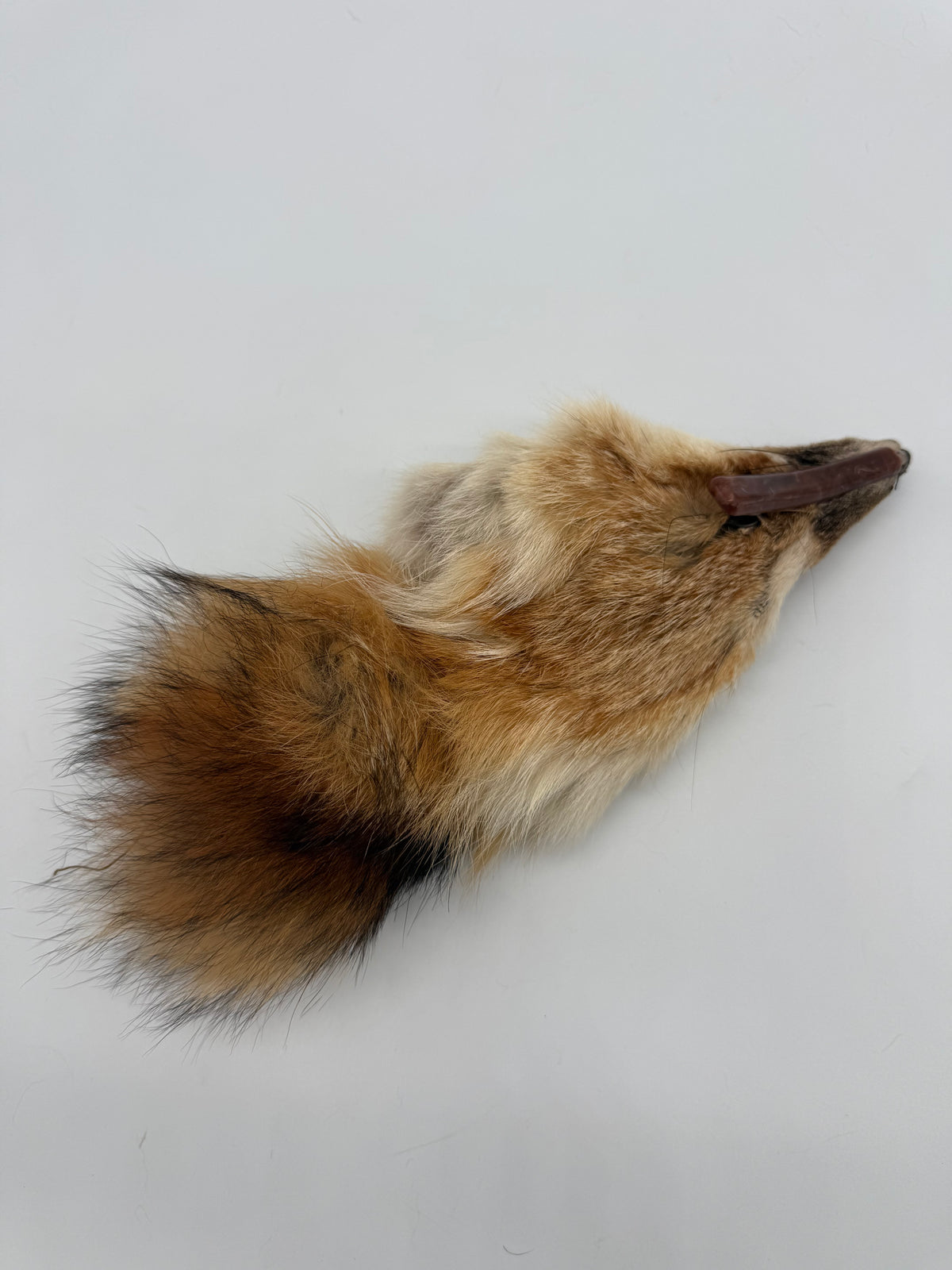Vintage Rotfuchs Fuchskopf Echtpelz Pelzkragen Fuchsfell mit Glasaugen